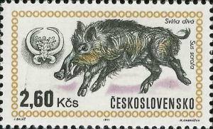 Colnect-418-914-Wild-Boar-Sus-scrofa.jpg