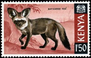 Colnect-4500-581-Bat-eared-Fox-Otocyon-megalotis.jpg