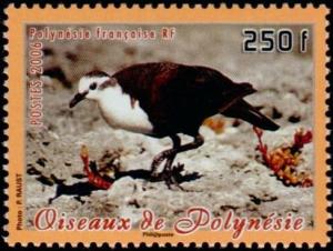 Colnect-5146-707-Polynesian-Ground-Dove-Gallicolumba-erythroptera.jpg