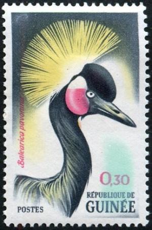 Colnect-540-651-Black-Crowned-Crane-Balearica-pavonina.jpg