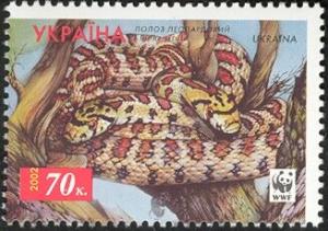 Colnect-5509-234-Leopard-Snake-Elaphe-situla.jpg