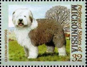 Colnect-5576-671-Old-English-sheepdog.jpg