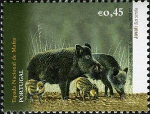 Colnect-579-488-Wild-Boar-Sus-scrofa.jpg