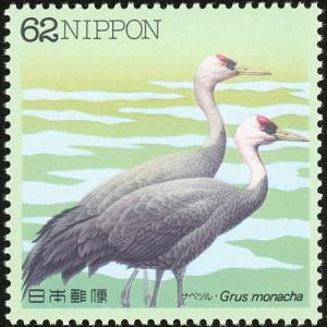 Colnect-608-831-Hooded-Crane-Grus-monacha.jpg