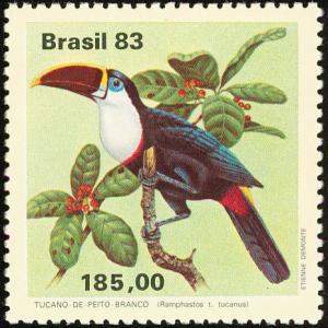 Colnect-718-158-White-throated-Toucan-Ramphastos-tucanus.jpg