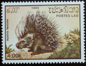 Colnect-797-714-Indian-Crested-Porcupine-Hystrix-leucura.jpg