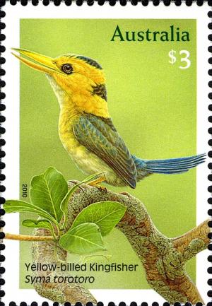 Colnect-910-790-Yellow-billed-Kingfisher-Syma-torotoro.jpg