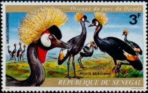 Colnect-951-655-Black-Crowned-Crane-Balearica-pavonina.jpg