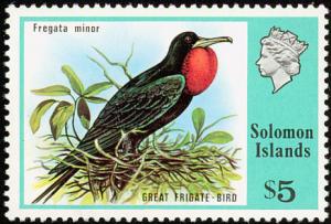 Great-Frigatebird-Fregata-minor.jpg