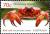 Colnect-2257-475-Christmas-Island-Red-Crab-Gecarcoidea-natalis.jpg