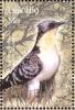 Colnect-1725-614-Great-Spotted-Cuckoo-Clamator-glandarius.jpg