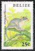 Colnect-1704-824-Gray-Four-eyed-Opossum-Philander-opossum-.jpg