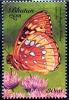 Colnect-2303-867-Great-Spangled-Fritillary-Speyeria-cybele.jpg