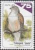 Colnect-964-803-White-tailed-Hawk-Buteo-albicaudatis-.jpg