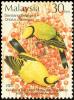 Colnect-4159-670-Black-naped-Oriole-Oriolus-chinensis.jpg