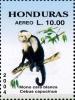 Colnect-3533-395-White-headed-Capuchin-Cebus-capucinus.jpg