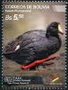 Colnect-3136-565-Horned-Coot-Fulica-cornuta.jpg