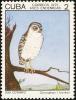 Colnect-3562-310-Bare-legged-Owl-Gymnoglaux-lawrenci.jpg