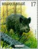 Colnect-187-328-Wild-Boar-Sus-scrofa.jpg