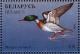 Colnect-1047-767-Red-breasted-Merganser-Mergus-serrator.jpg