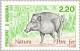 Colnect-142-092-Wild-Boar-Sus-scrofa.jpg