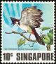 Colnect-1441-429-Red-whiskered-Bulbul-Pycnonotus-jocosus.jpg