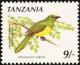 Colnect-1502-604-African-Emerald-Cuckoo-Chrysococcyx-cupreus.jpg