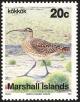 Colnect-1599-519-Bristle-thighed-Curlew-Numenius-tahitiensis.jpg