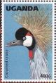 Colnect-1712-459-Grey-Crowned-Crane-Balearica-regulorum.jpg