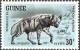 Colnect-2035-547-Striped-Hyena-Hyaena-hyaena.jpg