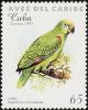 Colnect-2133-937-Yellow-crowned-Amazon-Amazona-ochrocephala.jpg