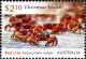 Colnect-2257-474-Christmas-Island-Red-Crab-Gecarcoidea-natalis.jpg