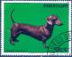 Colnect-2321-504-Dachshund-Canis-lupus-familiaris.jpg