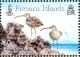 Colnect-2517-360-Bristle-thighed-Curlews-Numenius-tahitiensis.jpg