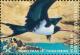 Colnect-2726-699-Christmas-Island-frigatebird-Fregata-andrewsi.jpg