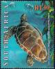 Colnect-3372-466-Loggerhead-Turtle-Caretta-caretta.jpg