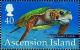 Colnect-3383-830-Loggerhead-Turtle-Caretta-caretta.jpg