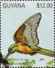 Colnect-3523-334-Rufous-tailed-Jacamar-Galbula-ruficauda.jpg