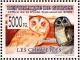 Colnect-3855-813-African-Wood-Owl-nbsp-Strix-woodfordii.jpg