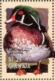 Colnect-4536-184-Wood-Duck----Aix-spons.jpg