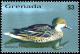 Colnect-4631-052-White-cheeked-Pintail----Anas-bahamensis.jpg