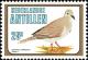 Colnect-5314-550-White-tipped-Dove%C2%A0Leptotila-verreauxi.jpg