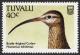 Colnect-850-692-Bristle-thighed-Curlew-Numenius-tahitiensis.jpg