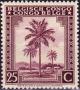 Colnect-981-036-Oil-palm-trees---inscribed--quot-Belgisch-Congo-Congo-Belge-quot-.jpg