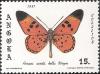 Colnect-1107-467-Fiery-Acraea-Acraea-acrita-ssp-bella.jpg