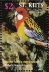 Colnect-1659-401-Eastern-Rosella.jpg