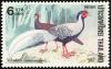 Colnect-2234-101-Silver-Pheasant-Lophura-nycthemera.jpg