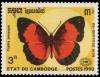 Colnect-2302-528-New-Guinea-Rustic-Cupha-prosope.jpg