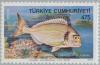 Colnect-2579-500-Gilt-head-Seabream-Chrysophrys-aurata.jpg