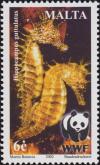 Colnect-3124-659-Long-snouted-Seahorse-Hippocampus-guttulatus.jpg